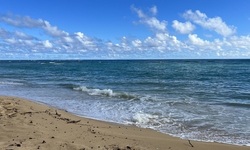 A sandy beach with waves crashing on the shore
AI-generated content may be incorrect.