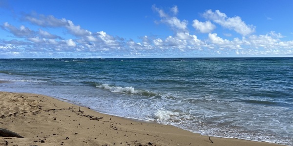 A sandy beach with waves crashing on the shore

AI-generated content may be incorrect.